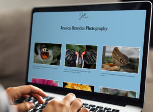 A mockup showing a computer screen displaying the website for my photo gallery images
